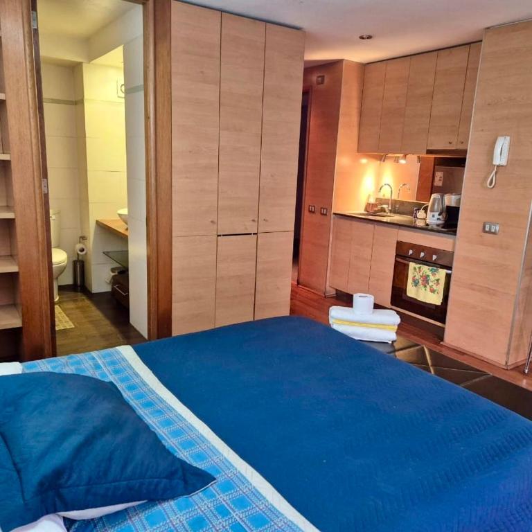 Suite providencia, excelente ubicación - Apartamento de 1 dormitorio - 13