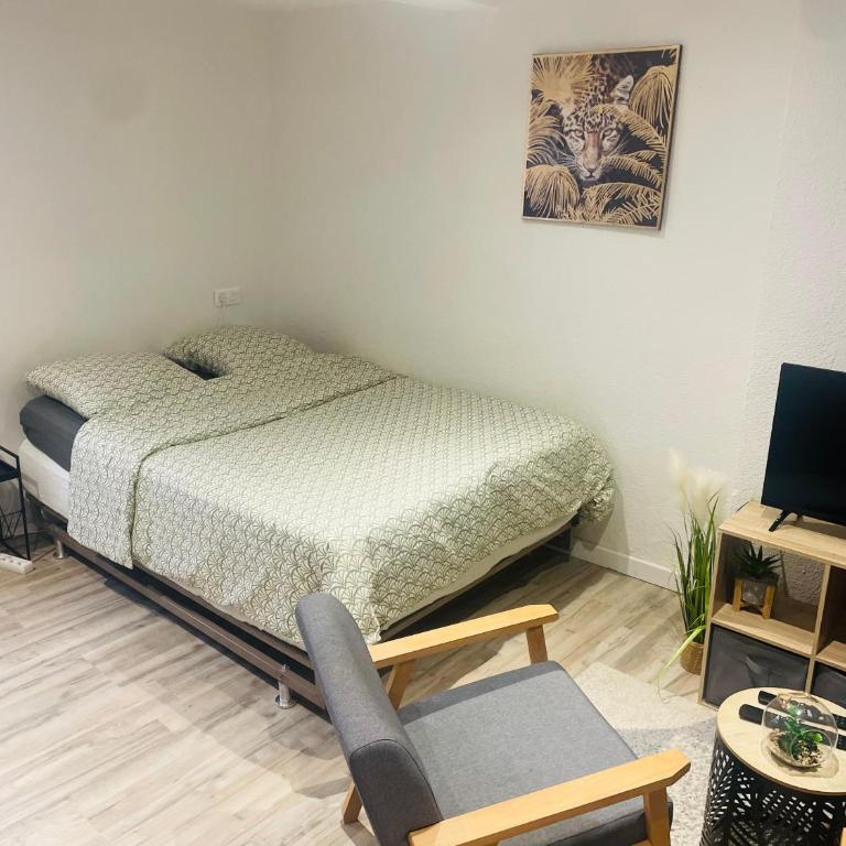 Studette narbonaise - Apartment mit 1 Schlafzimmer - 2