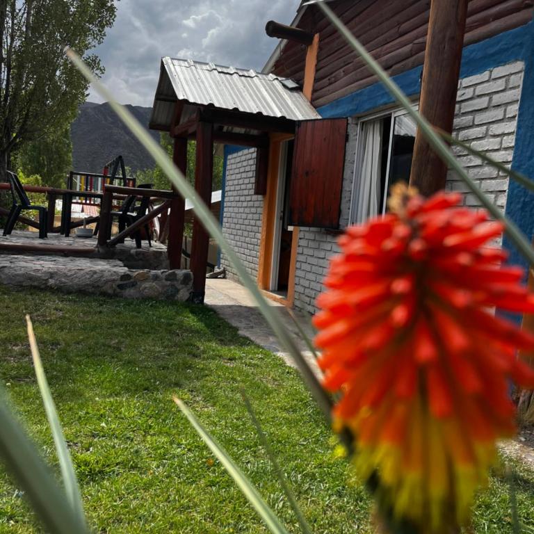 Cabañas Naupa Huen - Chalet de 1 dormitorio - 12