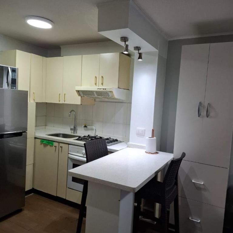 Santiago Skyline Suites - One-Bedroom Apartment - 9