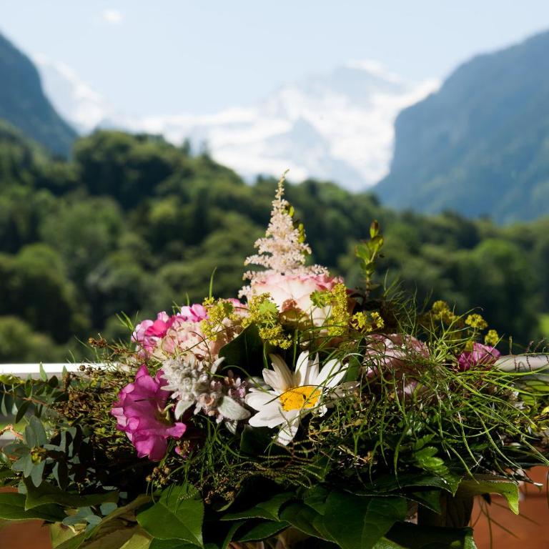 Jungfrau Hotel - Panorama Einzelzimmer mit Jungfraublick - 2