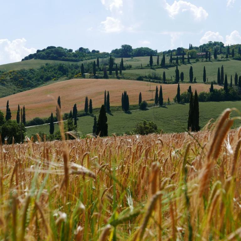 Le Ginestre Arte Vacanze - Appartamento - 18