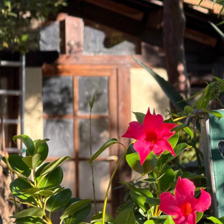 Sorgiva - One-Bedroom House - 20