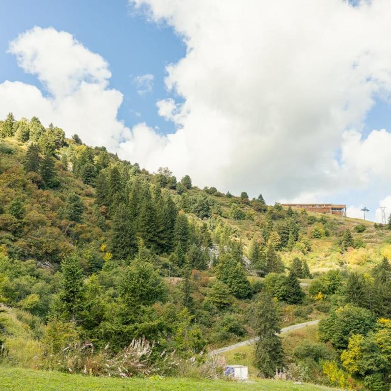 Cimes 2 #21 - 6 personnes - Pied des pistes - Appartement - 30