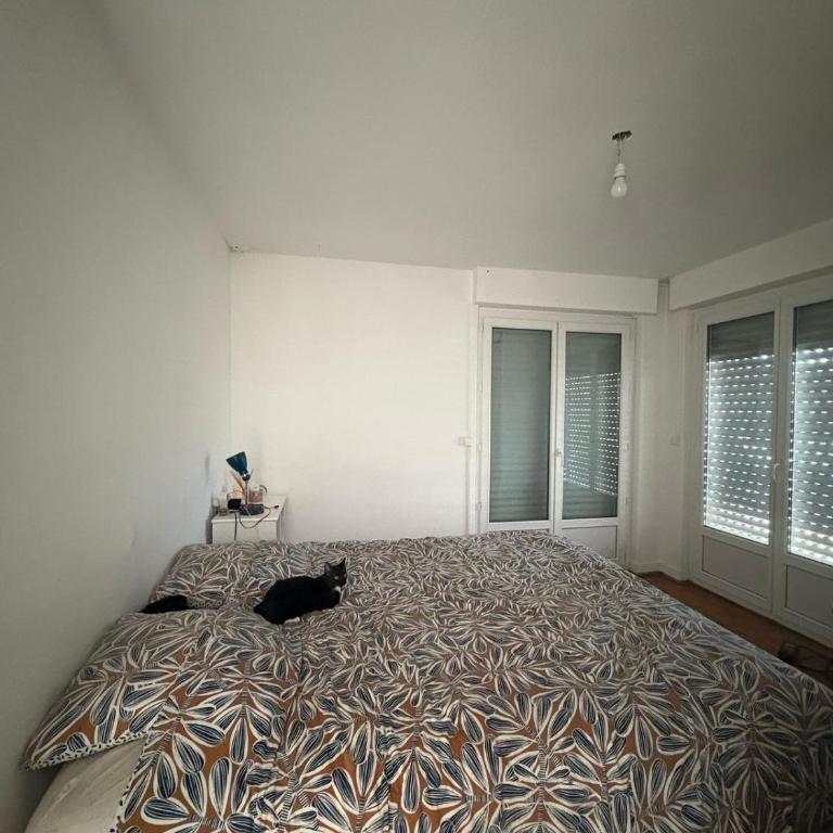 Appartement idéal - One-Bedroom Apartment - 5