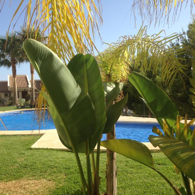 Townhouse Los Olivos M - Casa Unifamiliar de 3 dormitorios - 31