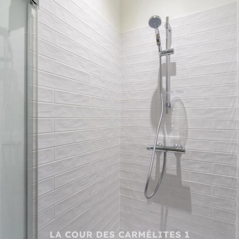 Les Carmélites - Appartements dans l'hyper-centre de Rennes - Standard Apartment - 4