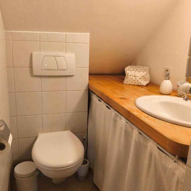 Accommodation of 167 m2 with views of Mont Blanc - Apartment - 20
