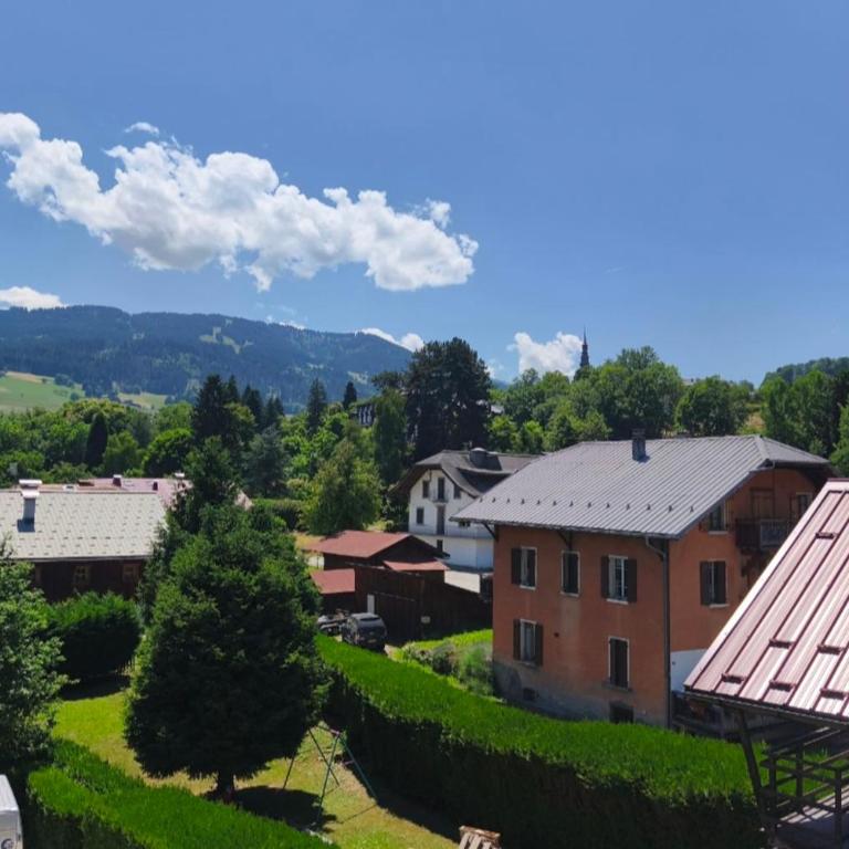 Accommodation of 167 m2 with views of Mont Blanc - Apartment - 26