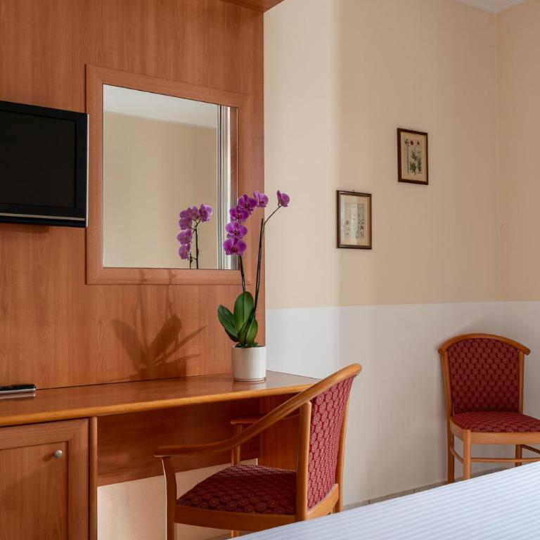 Hotel Regina - Comfort Double Room with Lake View - 8