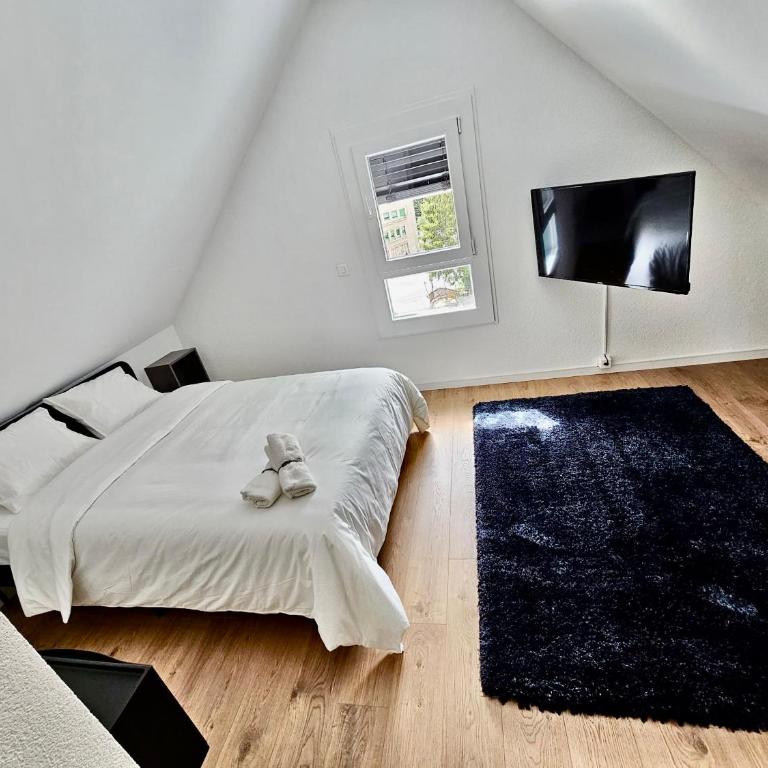 Private & Shared Stays in Lausanne - Camera Matrimoniale Standard con Bagno in Comune - 3