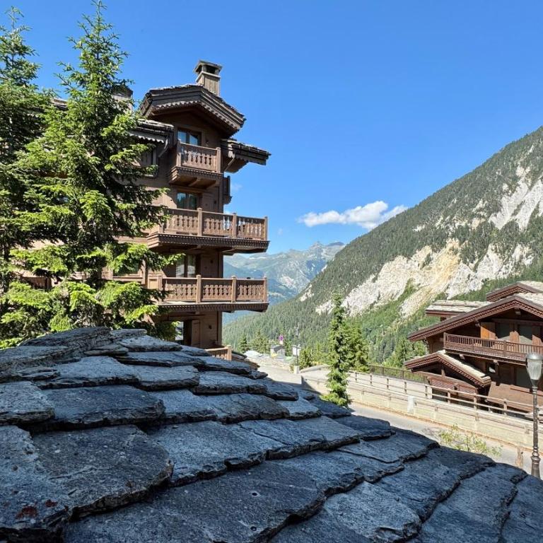 Appartement résidence La Dent du Villard - Apartamento Familiar de 2 dormitorios con vistas - 3