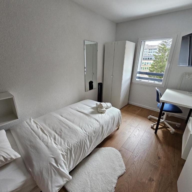 Private & Shared Stays in Lausanne - Camera Singola Standard con Bagno in Comune - 4