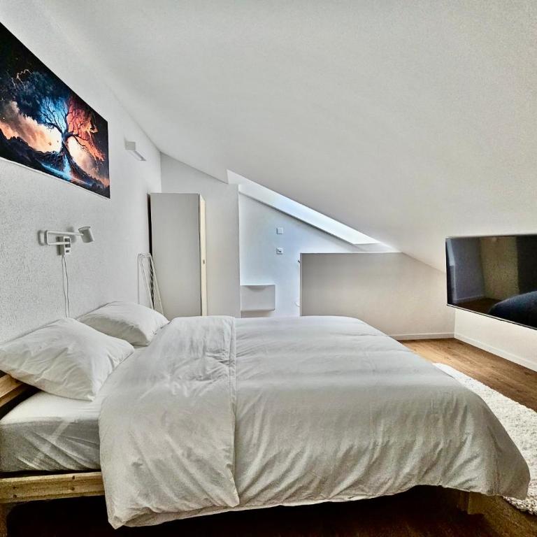 Private & Shared Stays in Lausanne - Camera Matrimoniale Standard con Bagno in Comune - 3