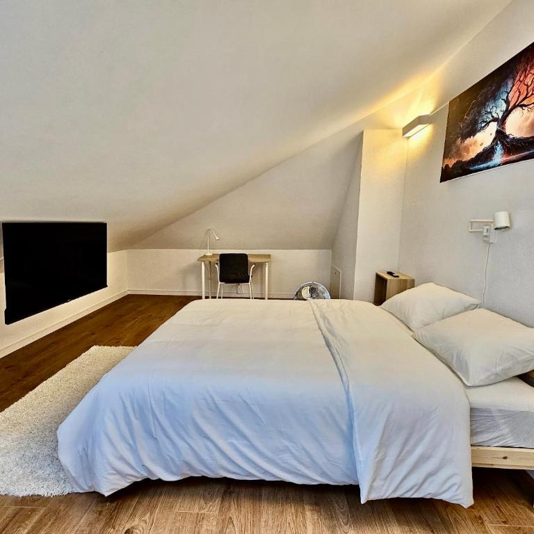 Private & Shared Stays in Lausanne - Camera Matrimoniale Standard con Bagno in Comune - 4