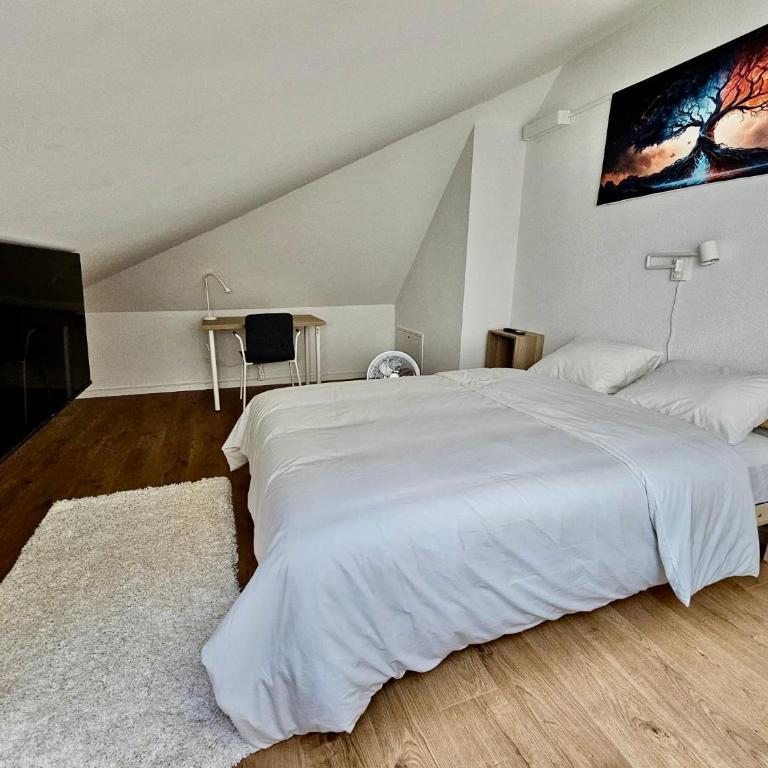 Private & Shared Stays in Lausanne - Camera Matrimoniale Standard con Bagno in Comune - 2