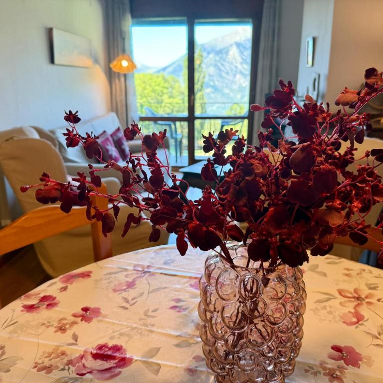 C19 - Bellavista Pirineo - Villmor - Appartement 2 Chambres - 7
