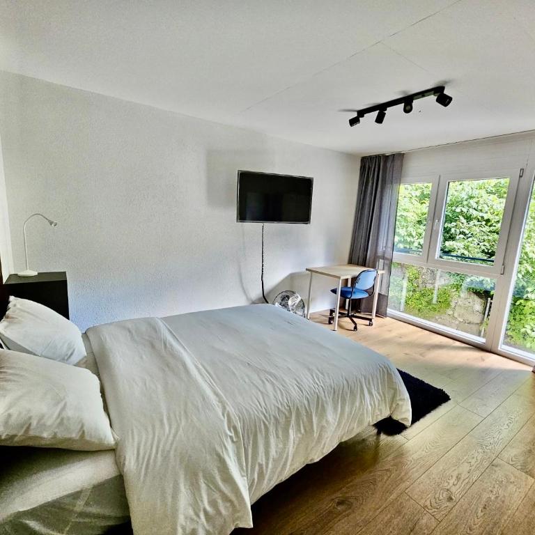 Private & Shared Stays in Lausanne - Camera Matrimoniale Standard con Bagno in Comune - 4