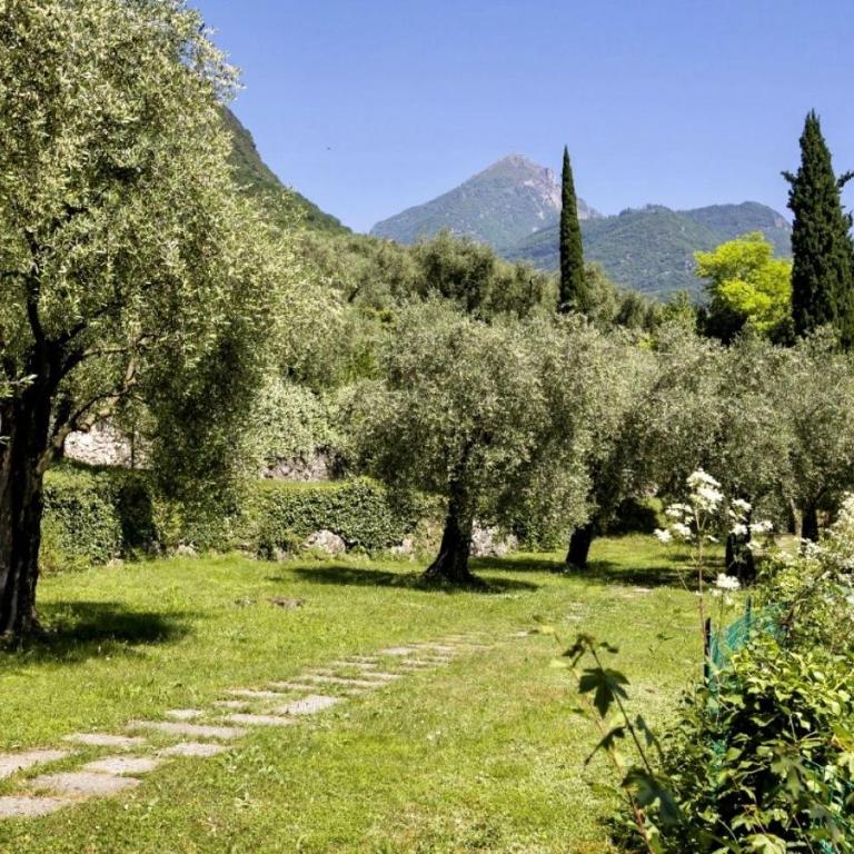 Casa O-live - Appartamento con 1 Camera da Letto - 23