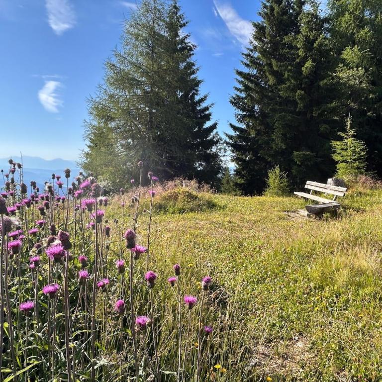 Appartement WOLKE7 byTILLY - Familienfreundliches Alpenzuhause mit Hallenbad, Balkon & Panoramablick hoch oben auf der Gerlitzen - Apartment mit 2 Schlafzimmern und Balkon - 43