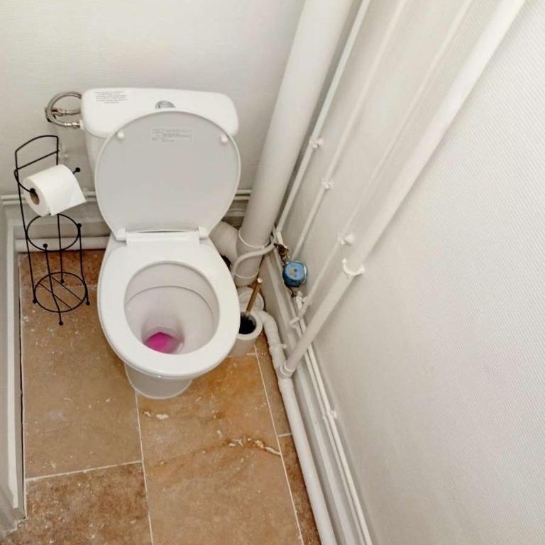 Agate - En plein coeur de la ville Dijon - Appartement 1 Chambre - 24