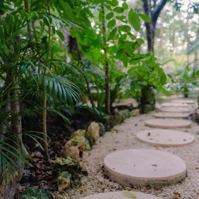AHAL Holistika 9BR Jungle Sanctuary with Private Rooftop & Plunge Pools - Apartamento - 47