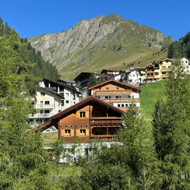 Casa Carinthia - Apartment mit Terrasse - 1