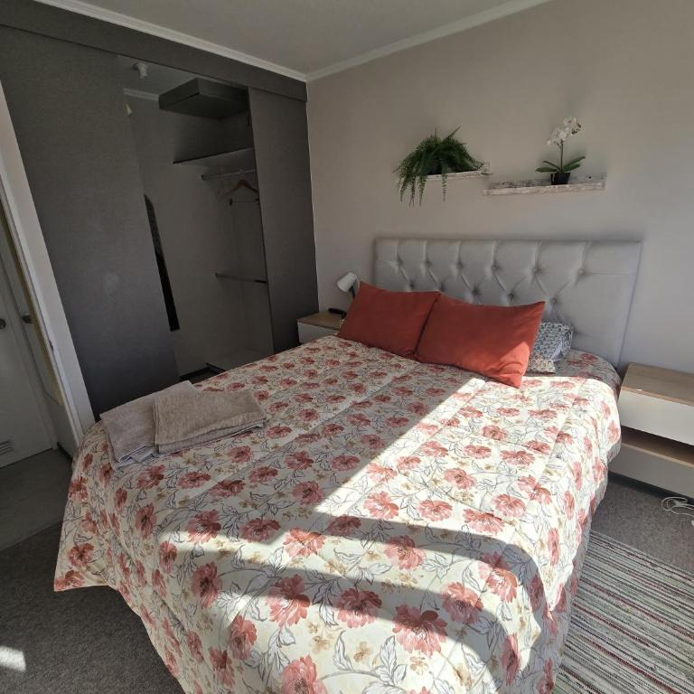 Departamento céntrico al costado de carretera 5 , aire acondicionado 9000 btu , estufa, wifi , parking privado - Apartamento - 1