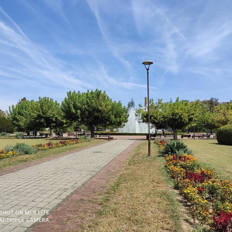 Garsonjera - Apartman sa 1 Spavaćom Sobom - 5