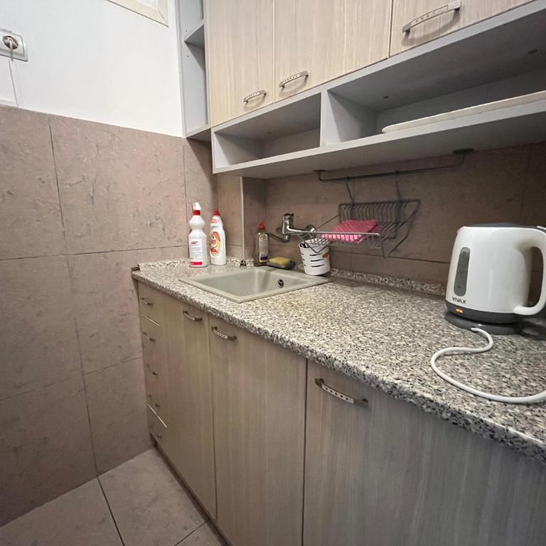 Bridge studio - One-Bedroom Apartment - 13