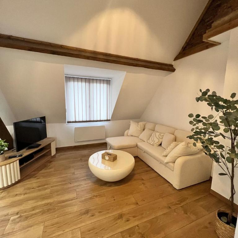 Appartement cosy atypique - Apartamento de 1 dormitorio - 6