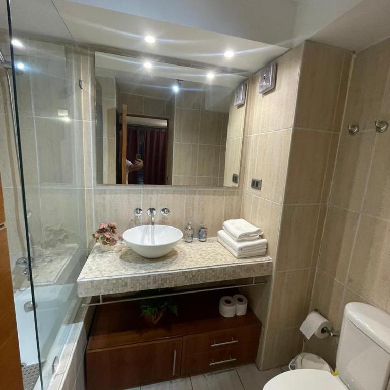 Departamento Providencia 1H 1B - One-Bedroom Apartment - 5