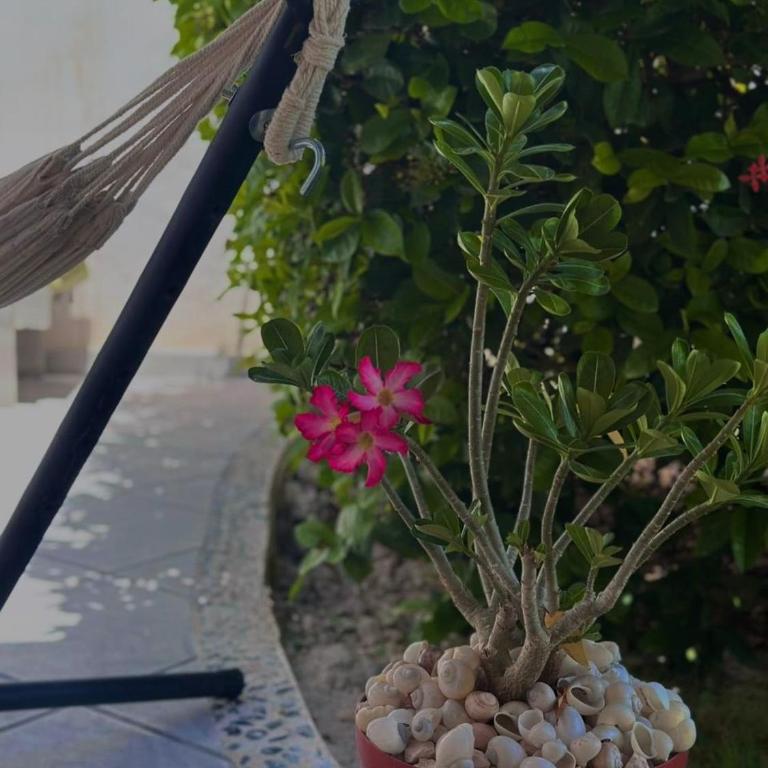 La Martina Your Tropical home in Playa del Carmen - Casa de 3 dormitorios - 35