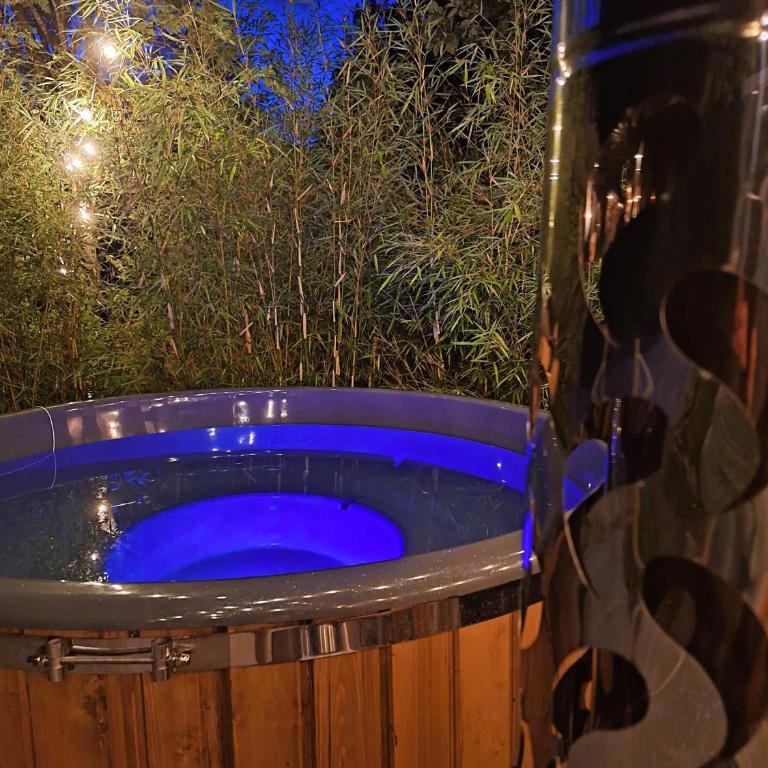 Gîte Roche Pointue - Jacuzzi - Ski - Domaine - Appartamento - 1