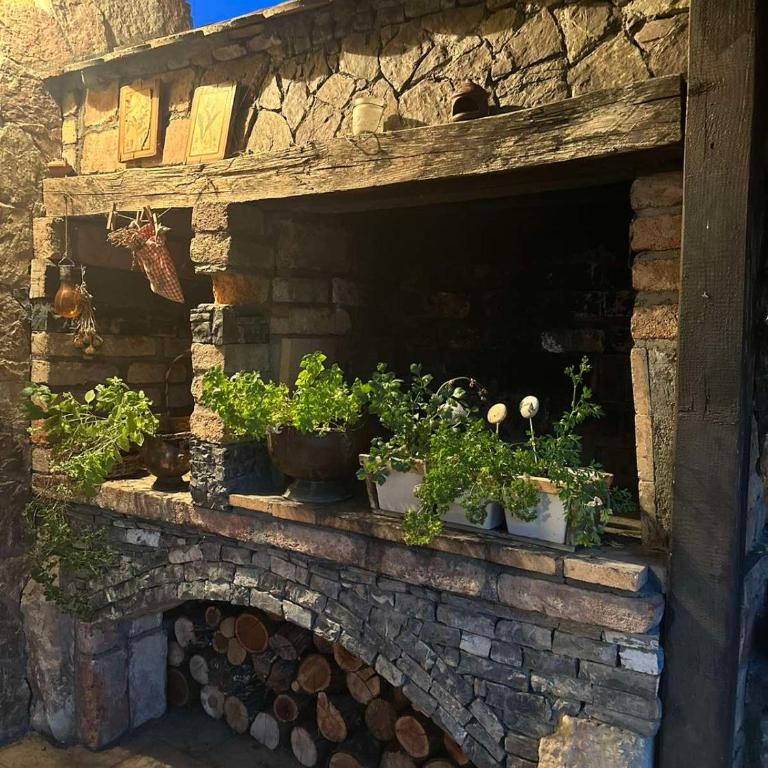 Villa Garden - Vila sa Sopstvenim Bazenom - 27