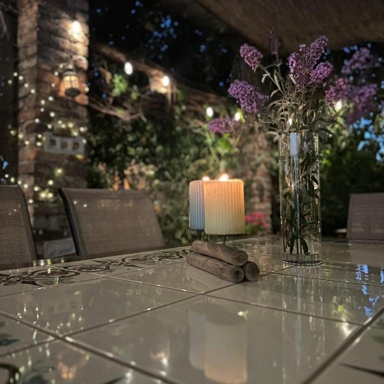 Villa Garden - Vila sa Sopstvenim Bazenom - 28