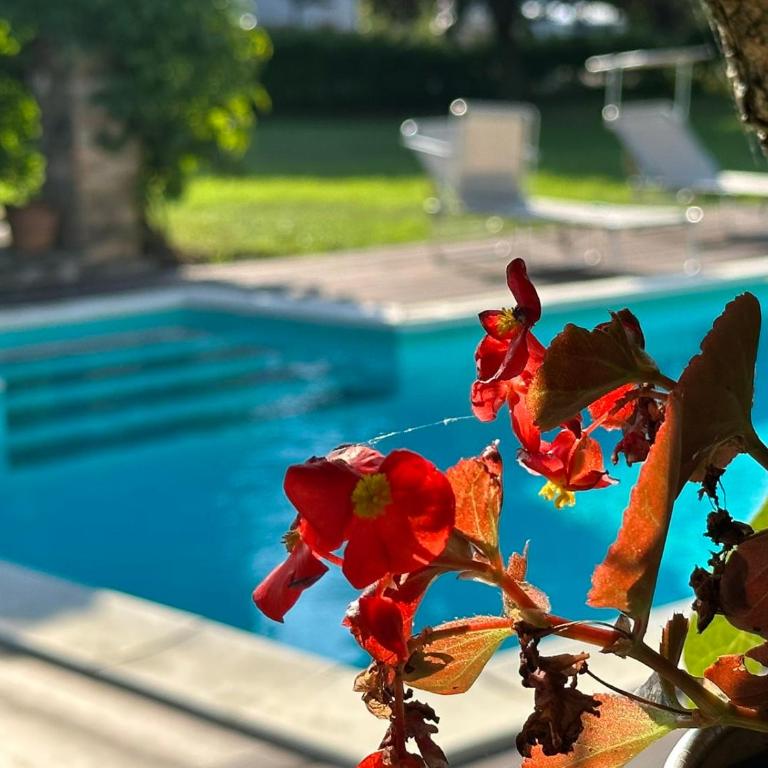 Villa Garden - Vila sa Sopstvenim Bazenom - 30