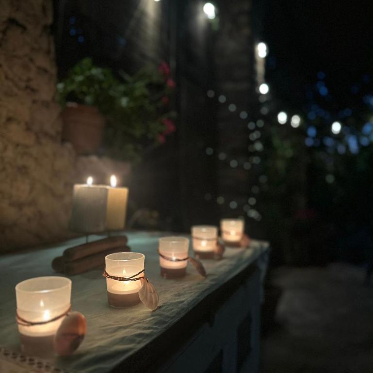 Villa Garden - Vila sa Sopstvenim Bazenom - 36