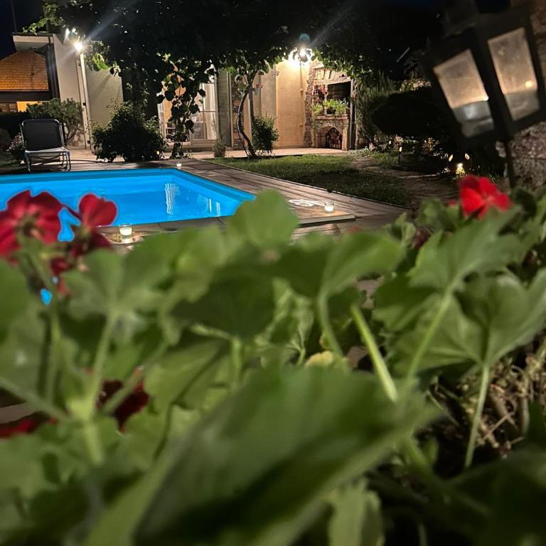Villa Garden - Vila sa Sopstvenim Bazenom - 51