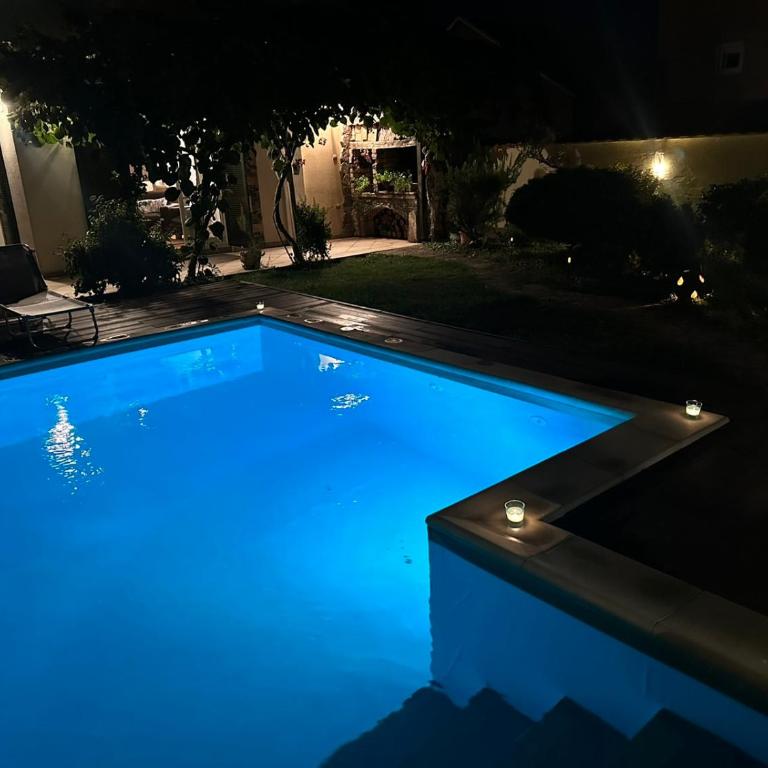 Villa Garden - Vila sa Sopstvenim Bazenom - 57