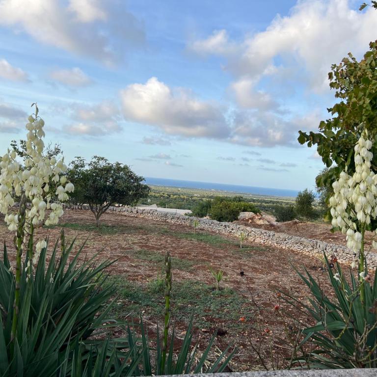 Villa Mimì - Casa con 3 Camere da Letto - 28