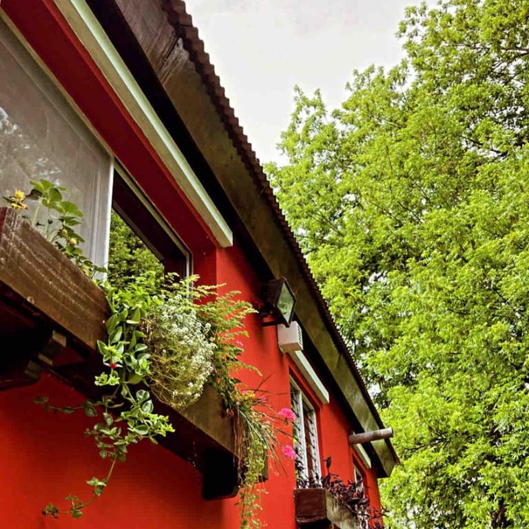 Chalet en Delta Tigre Pileta y muelle privado 6 personas - Casa de 2 dormitorios - 42