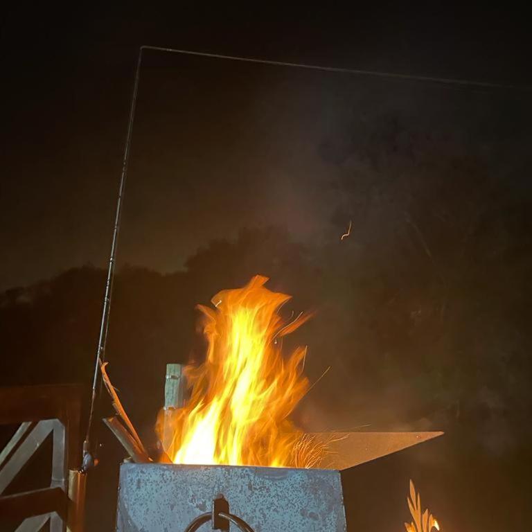 Chalet en Delta Tigre Pileta y muelle privado 6 personas - Casa de 2 dormitorios - 59