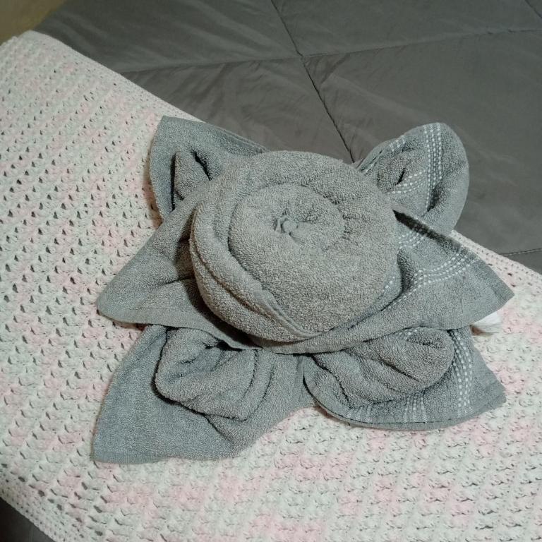 Larita' Rose MINDO Hospedaje y casita de Campo Los Guayabales - Habitación Doble con baño privado - 20