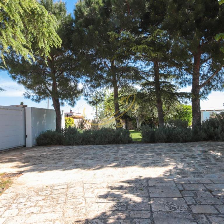 TD Villa Fico Jo Villa with Pool Lush Garden - Casa Vacanze - 5