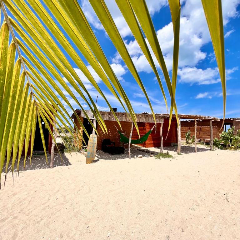 Playa Aipien - Habitación Individual - 3