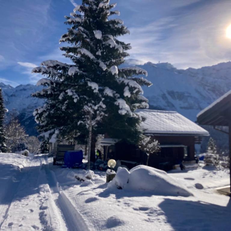 Cosy Chalet 87 in Engelberg with spectacular mountain and lake Views - Chalet mit 3 Schlafzimmern - 11