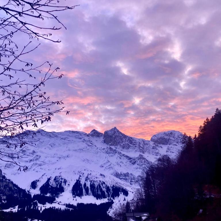 Cosy Chalet 87 in Engelberg with spectacular mountain and lake Views - Chalet mit 3 Schlafzimmern - 10