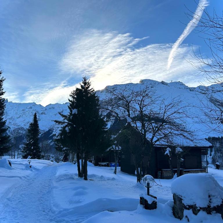 Cosy Chalet 87 in Engelberg with spectacular mountain and lake Views - Chalet mit 3 Schlafzimmern - 7