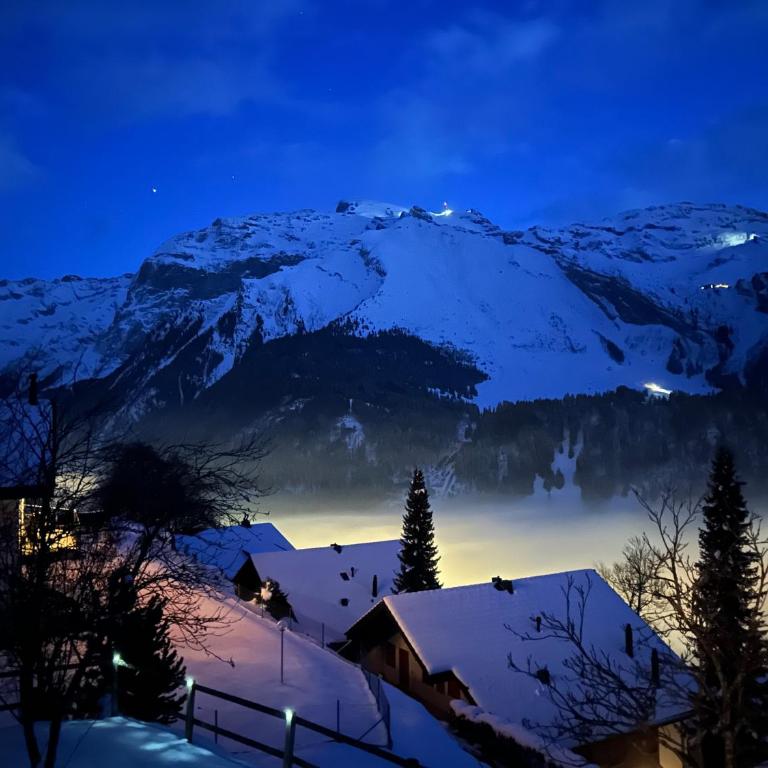 Cosy Chalet 87 in Engelberg with spectacular mountain and lake Views - Chalet mit 3 Schlafzimmern - 29